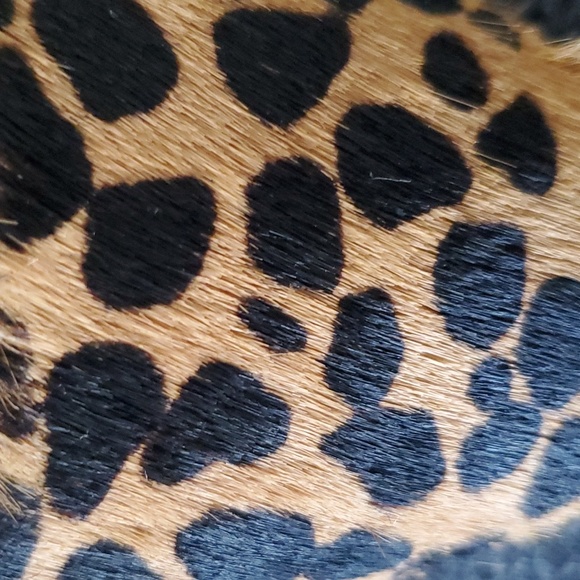 Leopard Print Pump - Picture 7 of 9